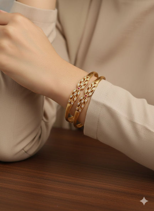 Micro Gold Plated And Diamond Studded Fancy 2 Pcs Bangle